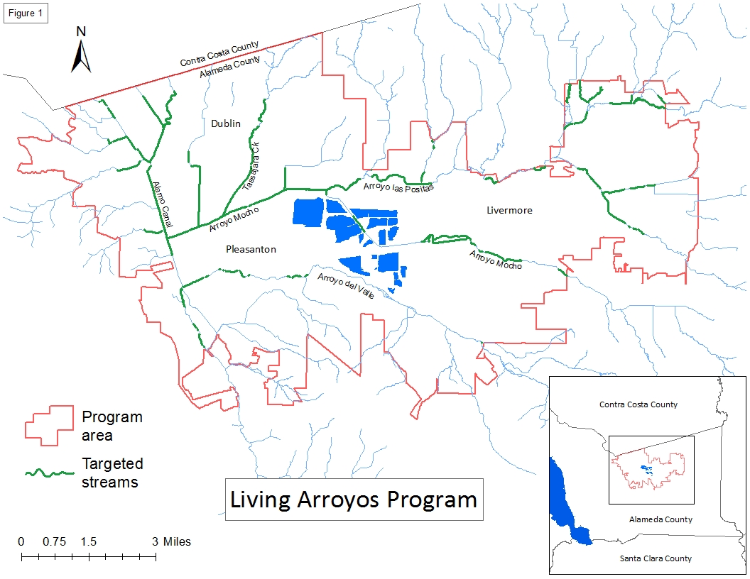 Northern Watershed Arroyos Alameda Creek Alliance — Bringing Salmon
